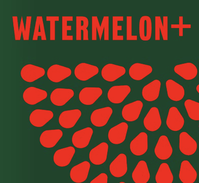 Watermelon Pictures logo